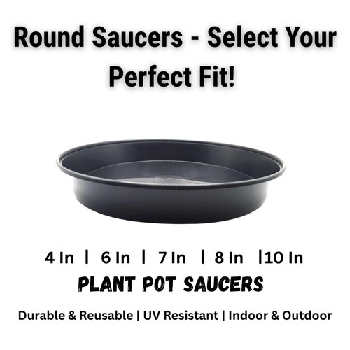 Plant pot saucers black - pot,