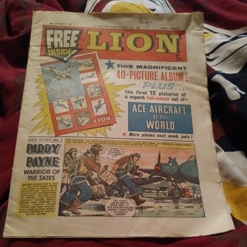 Lion 19th january - lion,