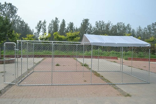 Backyard dog kennel outdoor - dog,