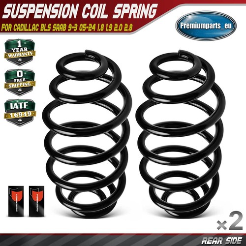 Coil springs rear - coil,