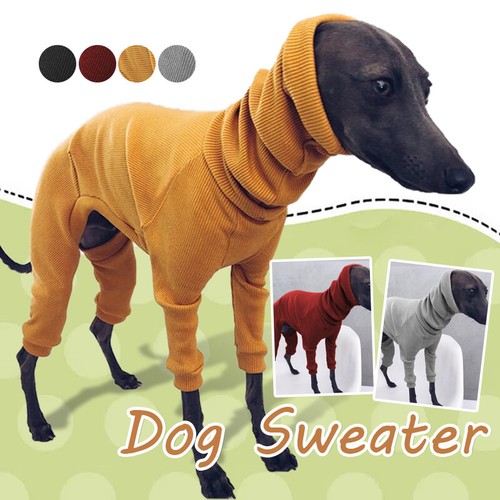 Winter dog coat - coat, jacket