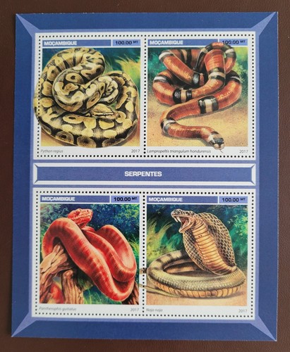 Mozambique 2017 fauna - 2017,
