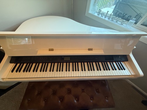 Samick digital baby grand - digital,