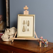 Antique Neolithic Implements illustrations - framed