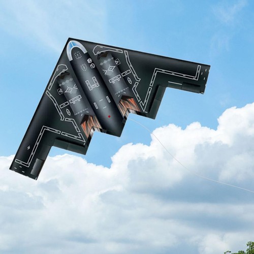 Delta plane kite - delta,