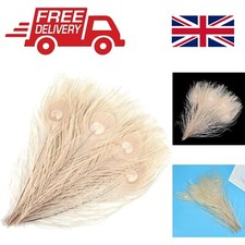 15pcs Soft White Peacock Eye