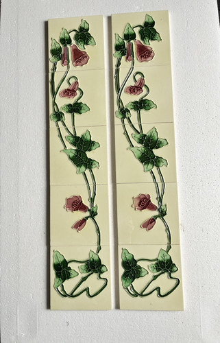 Set red morning glory - of, 10