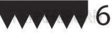 TRISCAN V-Ribbed Belt Black