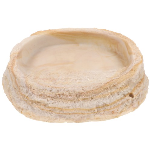 Reptile lizard food bowl - reptile,