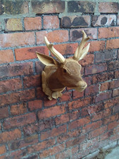 49cm x 35cm Brown Wood Mounted Deer Head Wall Mounted Art Large