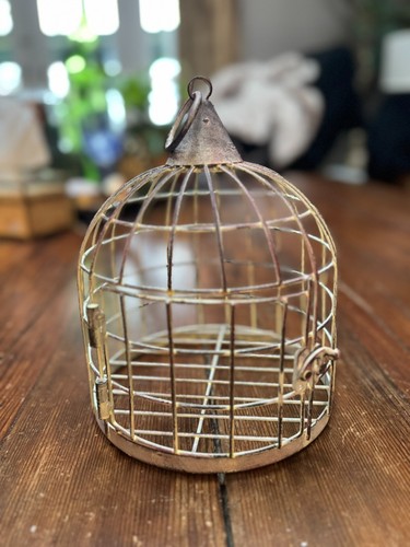 Metal bird cage - metal,