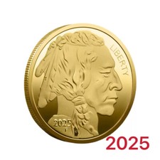 2025 American Buffalo Coin -