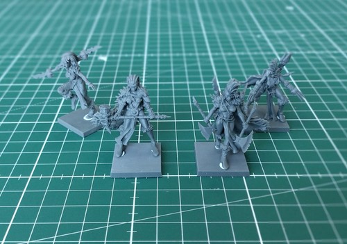 Avatars war barbarian - barbarian, femme