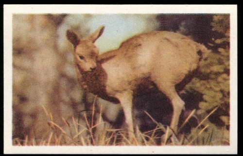Tobacco card utc our south - utc,our,