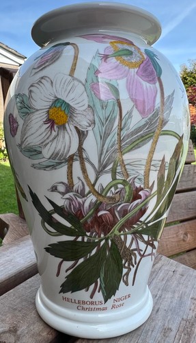 Portmerion botanic garden - botanic, vase