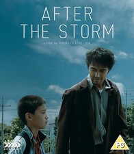 After The Storm (aka Umi Yori