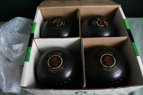 Taylor vector size bowls - vector,