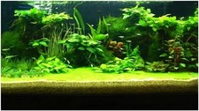 3D Prints Aquarium Underwater