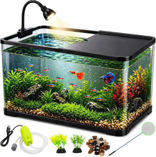 Gallon fish tank starter - 5,