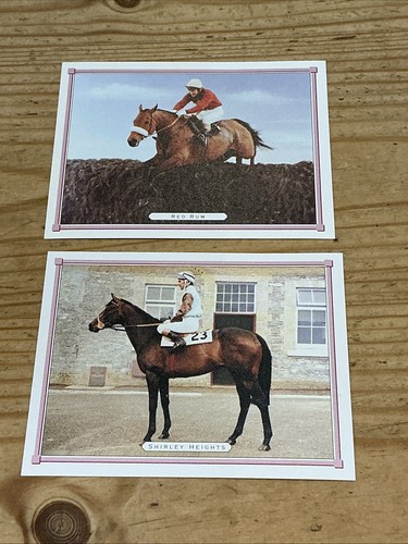 Great race horses - great, time