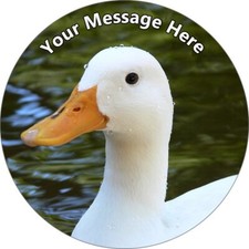 White Duck Personalised Cake