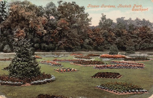 Family history genealogy - -,