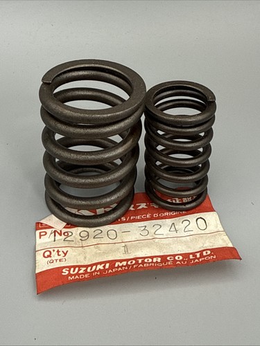 Suzuki valve springs dr400s - springs,