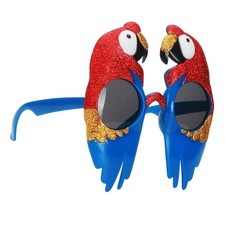 Novelty Party Sunglasses Funny