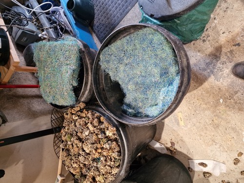 Koi pond filter - pond,