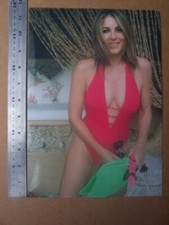 Elizabeth Hurley Liz Hurley