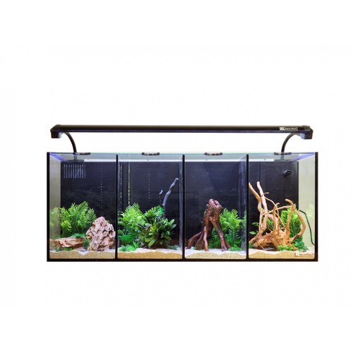 Aqua one betta quad glass - one,