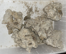 Dry Live Rock Fiji Marine Rock