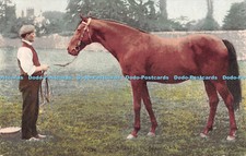 R555392 Horse Orme Ormonde Angelica