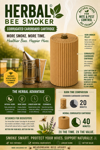 New larger size bee - larger,