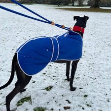 Whippet or small lurcher winter coat Royal Blue with red trim - size 20 NEW