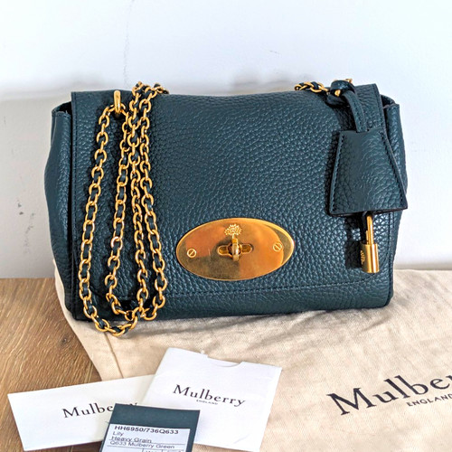 Mulberry lily - lily, –