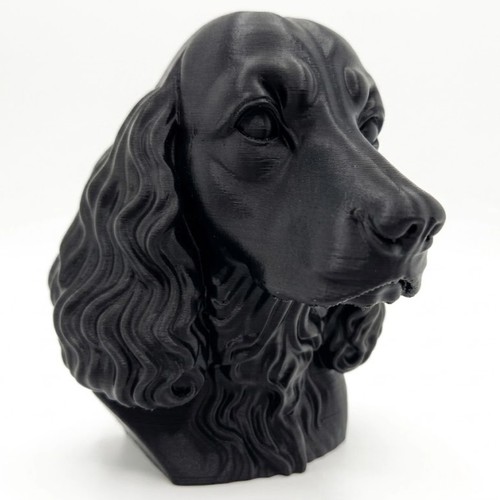 English springer spaniel dog - english,
