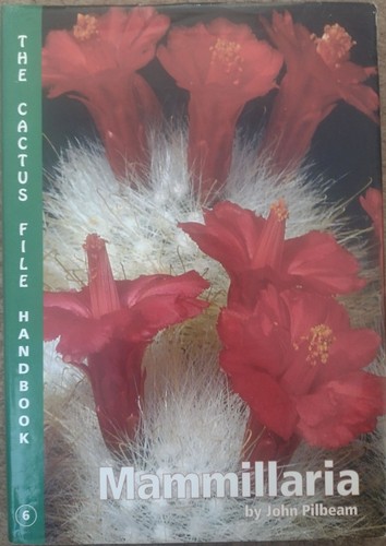 Mammillaria pilbeam cactus - pilbeam,
