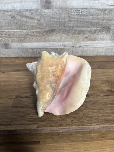 Medium natural 4kg - medium, queen