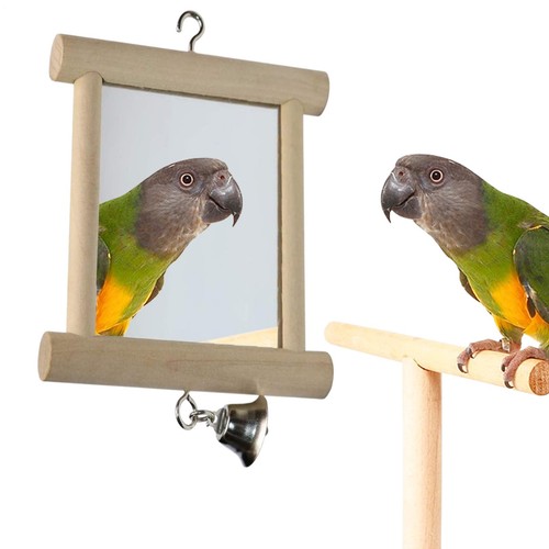 Pet bird mirror with bell - pet,