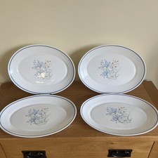 Pyrex Blue Iris Steak Oval