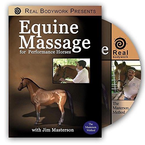 Equine massage for performance - massage,