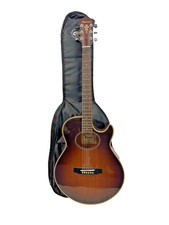 Vintage Ibanez AE405TV