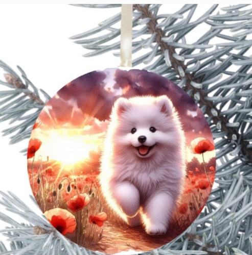 Samoyed dog hanging - samoyed,
