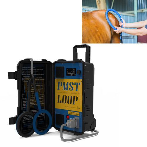 Pemf equine magnetic field - pemf,