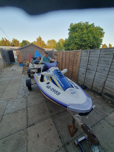 Tiger shark jet - shark, ski