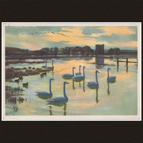 Flood waters threave - flood,