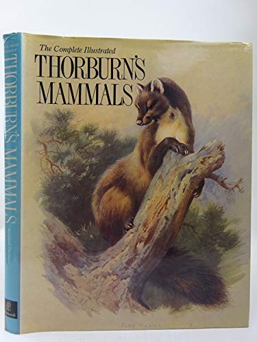 Thorburn mammals by - thorburn's,