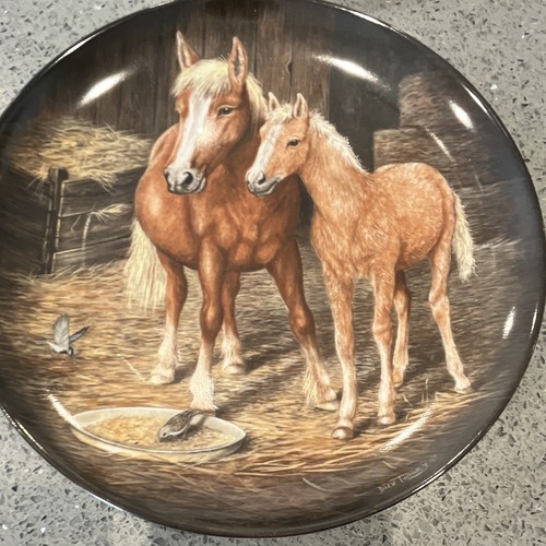 Horses stable - in,