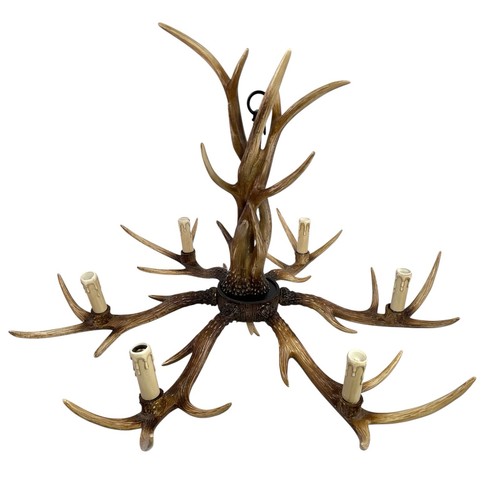 Deer horn antler rustic - horn,